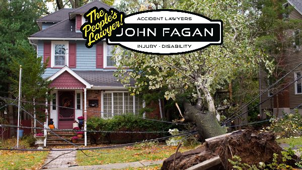 When a tree falls, is there debris removal coverage?