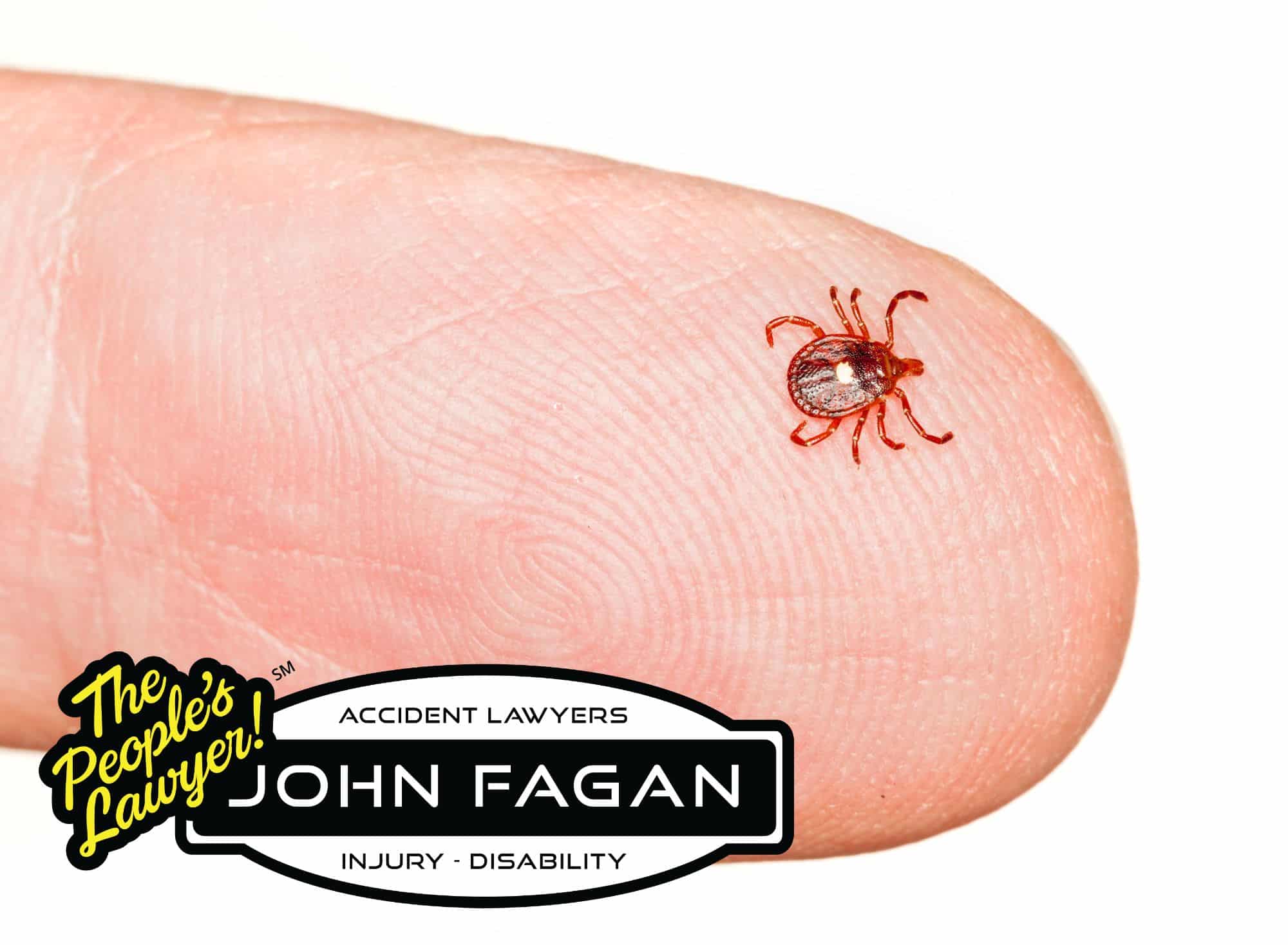 Lone Star Tick Bites That Can Trigger Lifelong Allergies to Red Meat, Dairy On the Rise