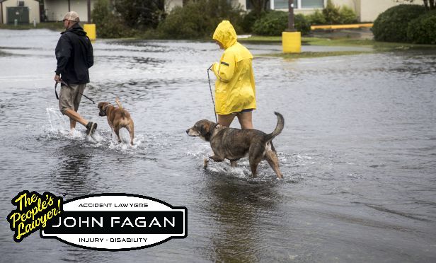 Pet Safety Before, During and After Florence and Other Natural Disasters